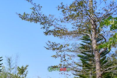 Yantai Qiujiazhuang Yizhi: Your Ultimate Guide to Scenic Beauty and Cultural Riches