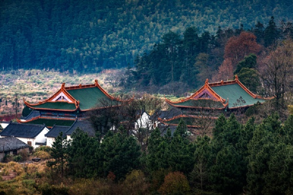 Unveiling the Wonders of Yichun Wuping Muqun: Your Ultimate Travel Guide