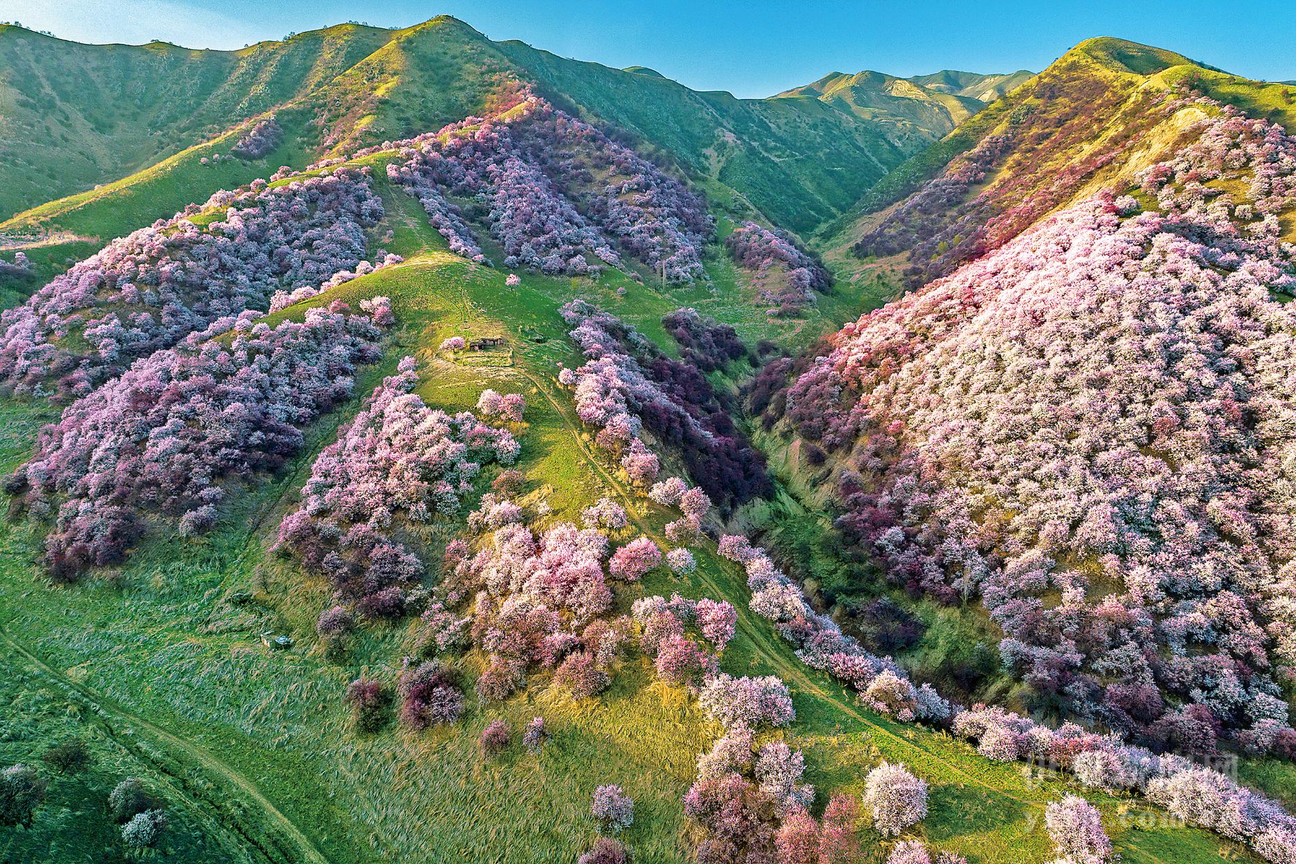 A scenic view of Yili Jingyuansi