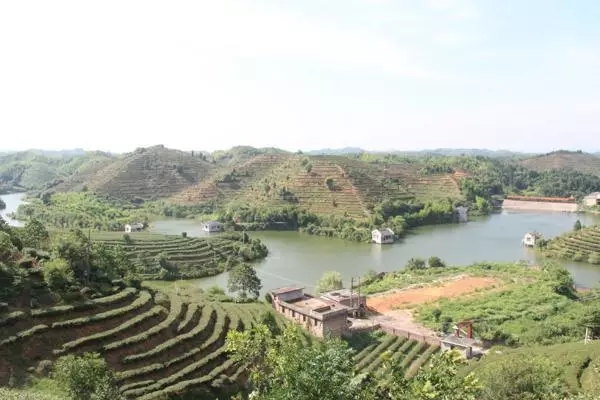 A scenic view of Yiyang Qujiang Chayuan