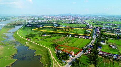 Exploring Yueyang Luoziguo Chengzhi: A Culinary Journey Through Hunan