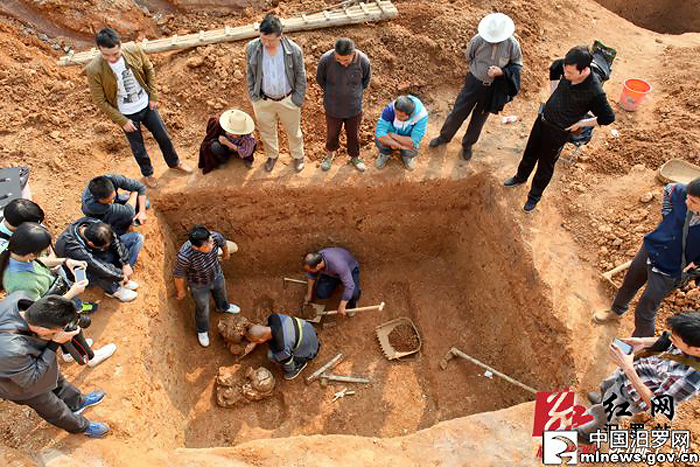 Exploring Yueyang Miluoshan Muqun: Nature Trails and Scenic Views Await