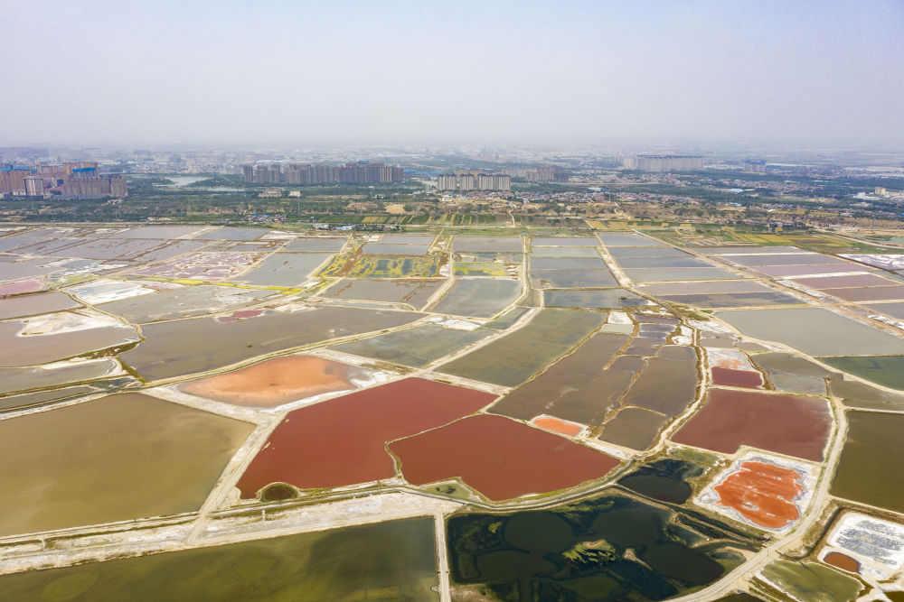 A scenic view of Yuncheng Dongzhuang Site