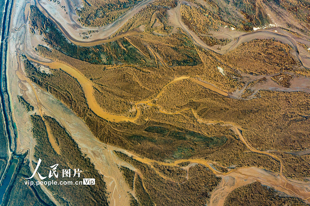 A scenic view of Yuncheng Huanghe Zhandao Site