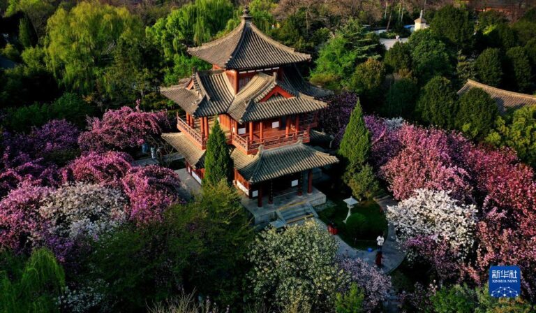 Uncover the Mysteries of Yuncheng’s Qinglong Temple: Your Guide to Jishan’s Treasures