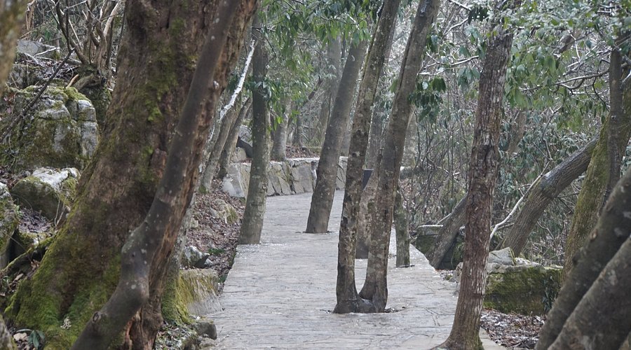 A scenic view of Zhangjiajie Puguang Chansi Gujianzhuqun