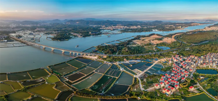 A scenic view of Zhangzhou Dongshan Shushou Taiwan Jiangshi Muqun