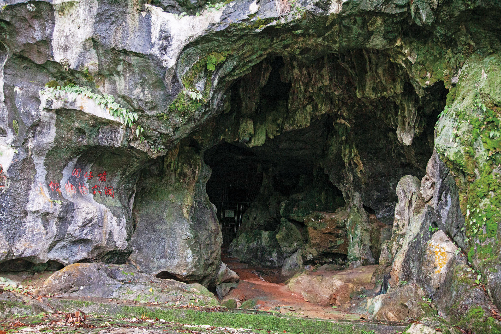 A scenic view of Zhangzhou Lianhuachishan Yizhi