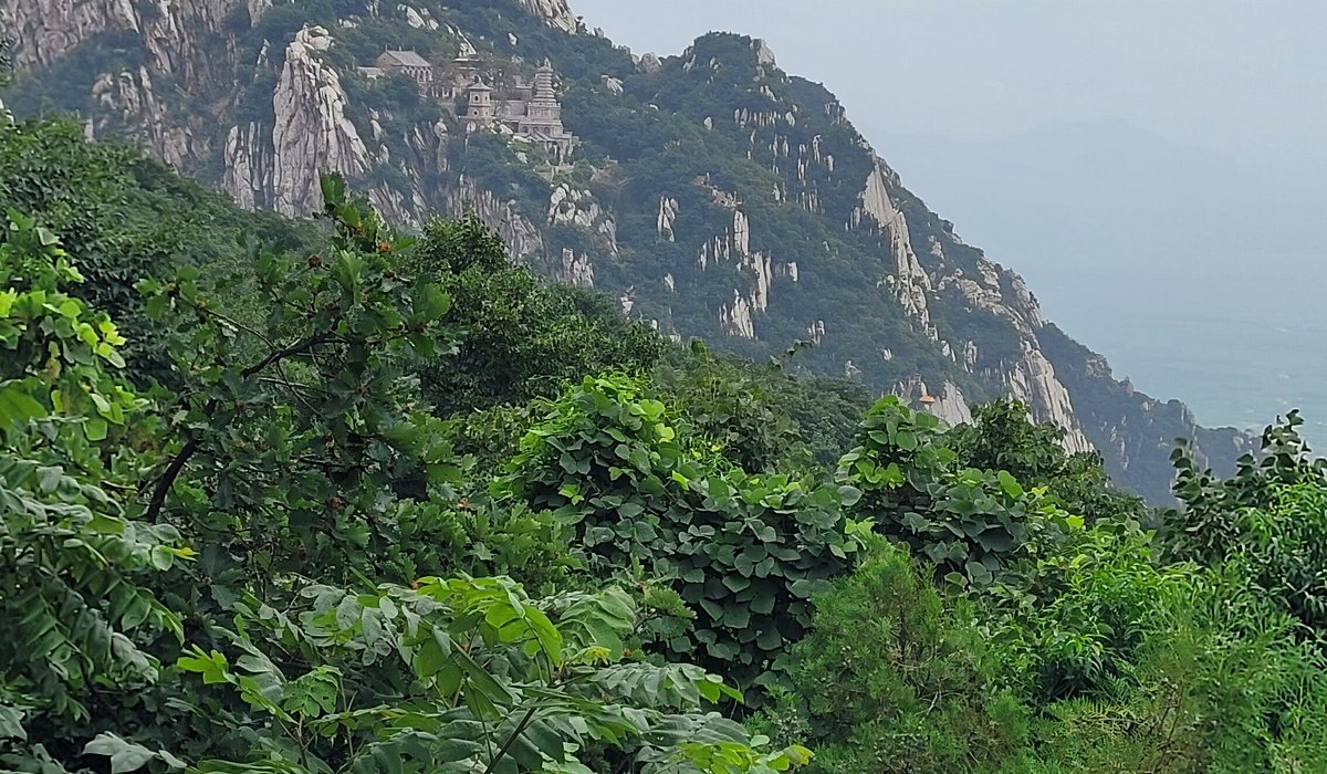 A scenic view of Zhengzhou Guchengzhaichengzhi