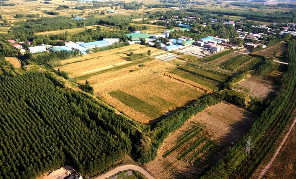 Exploring Zhengzhou Huayanggucheng: A Cultural Gem in Henan