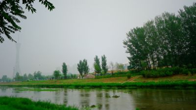 Discovering Zhengzhou Shanggangyangyizhi: A Hidden Gem in Henan