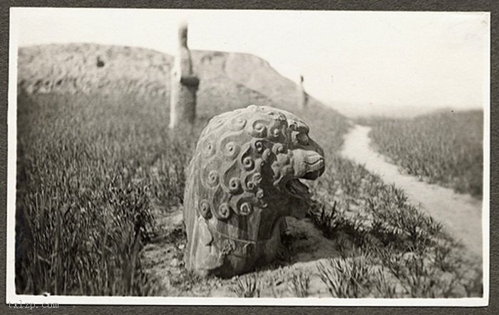 Explore Zhengzhou Songling: A Journey Through History and Culture