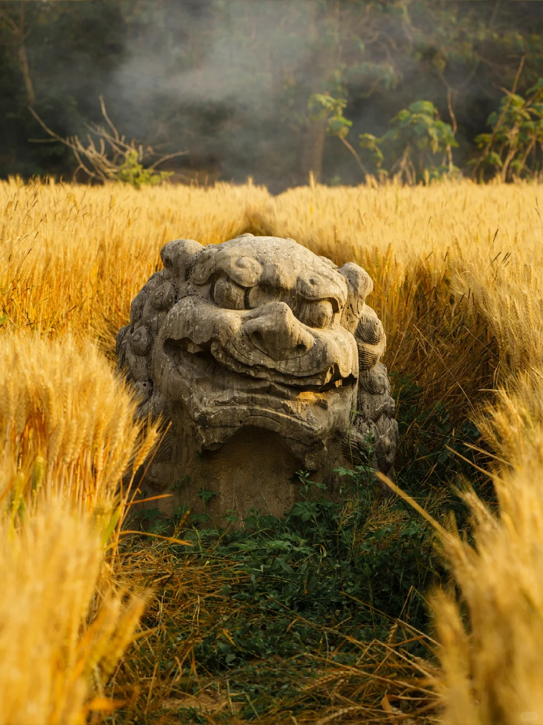 A scenic view of Zhengzhou Songling