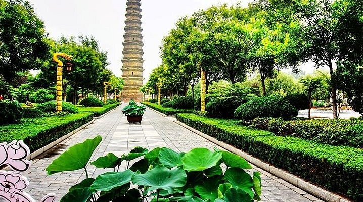 A Journey Through Zhengzhou Xishanyizhi: Top Attractions and Insider Tips