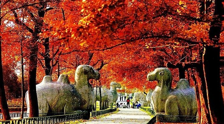 A scenic view of Zhenjiang Tiewengcheng Yizhi